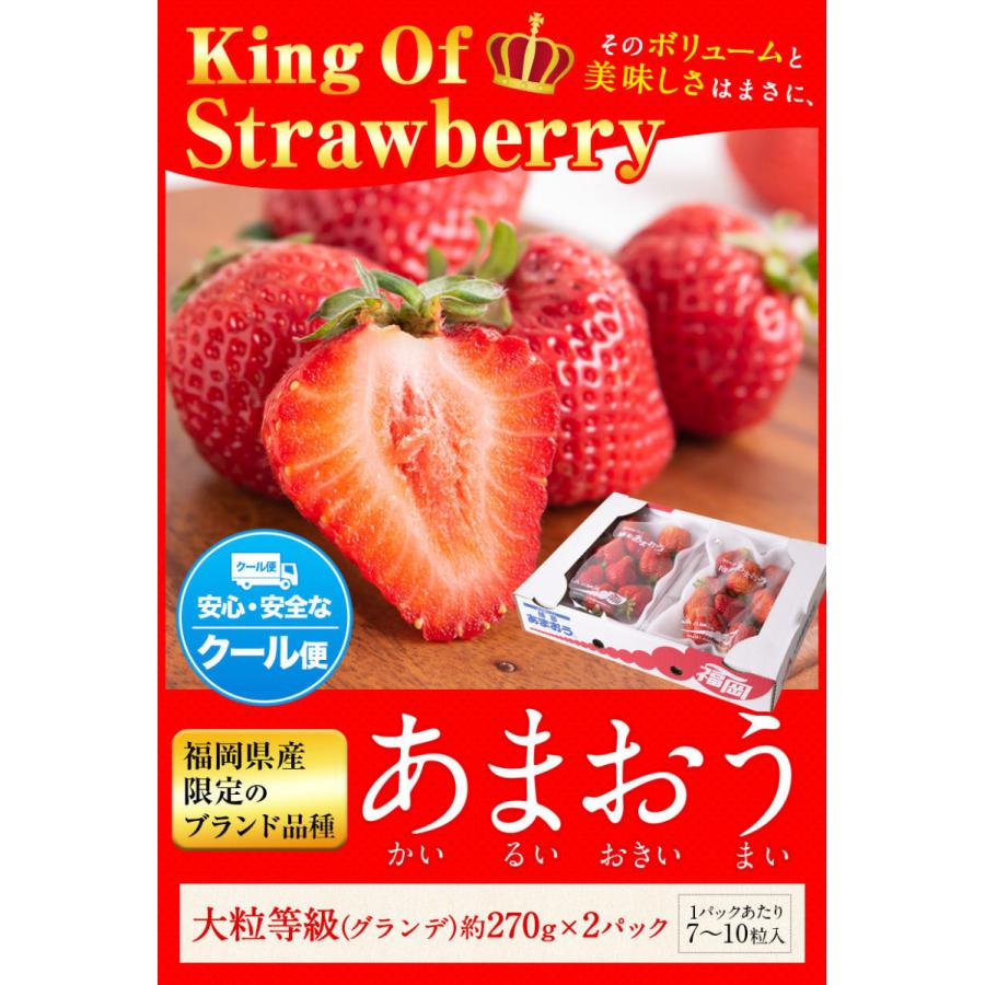 いちご 送料無料 イチゴ 苺 あまおう フルーツ 福岡産 ブランド 品種 大粒等級 約540g 約270g 2パック 7 14営業日以内に発送予定 土日祝日除く 九州風土 通販 Paypayモール