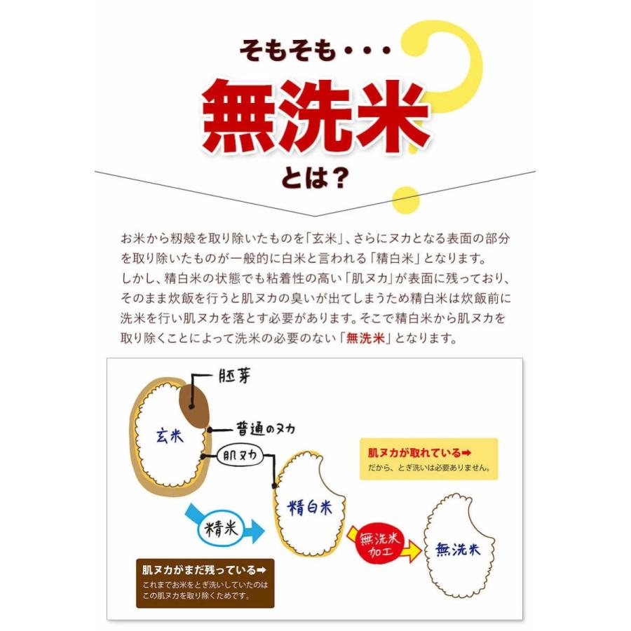 無洗米 送料無料 5kg 米 お米 国産 5キロ 送料無 業務用 業務用無洗米 こめ 精米 白米 時短 節水 1-5営業以内発送予定(土日祝除)｜kyushufood｜11