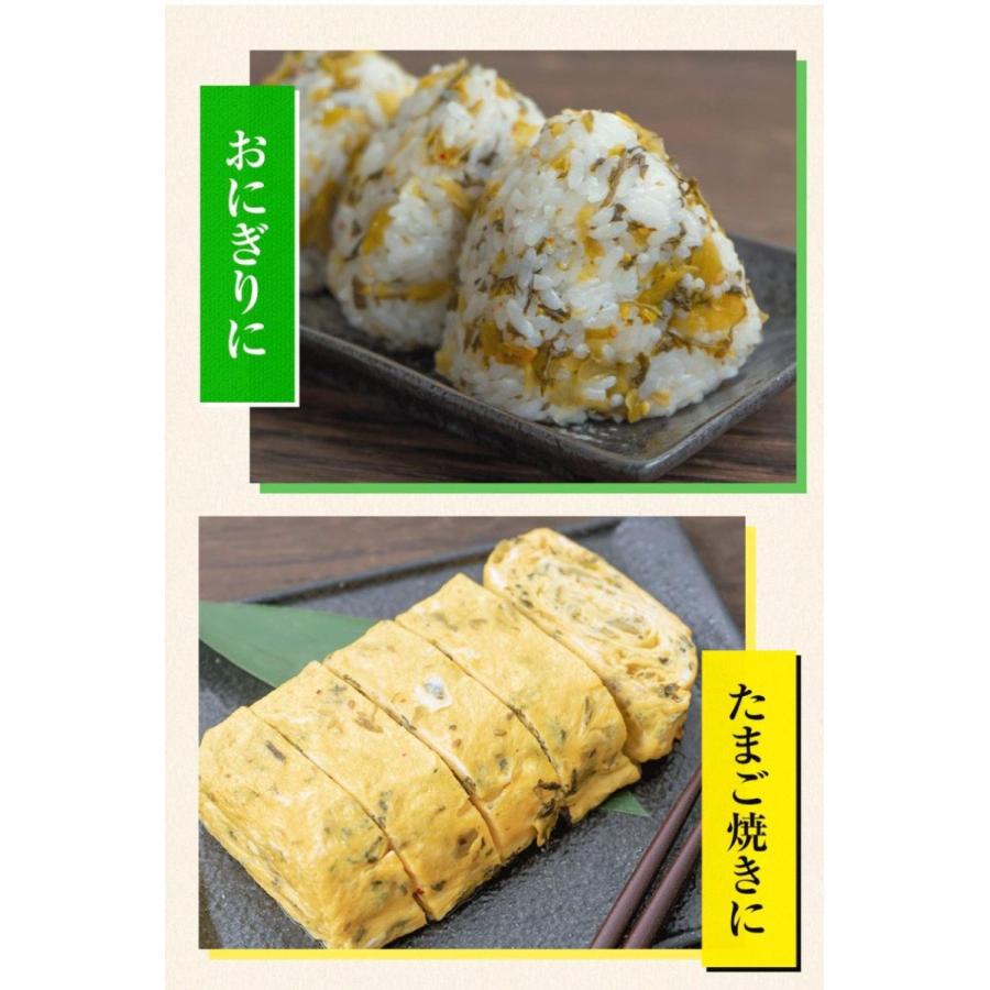 訳あり商品 1000円 ポッキリ 高菜漬け 送料無料 高菜漬け物 高菜 辛子高菜 たかな 高菜漬 漬け物 漬物 ご飯 お供 600g入 150g 4袋 3 7営業以内発送予定 土日祝除 1 000円 Aynaelda Com