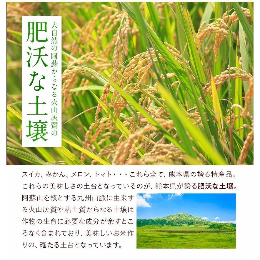 米 10kg 送料無料 無洗米 5kg ×2袋 お米 国産 白米 令和3年産 ブランド米7割使用 ふるさと無洗米 熊本県産 3-7営業以内発送予定(土日祝除) :musennmai1:九州風土 - 通販 - Yahoo!ショッピング 米 10kg 送料無料 無洗米 5kg ×2袋 お米 国産 白米 令和3年産 ブランド米7割使用 ふるさと無洗米 熊本県産 3-7営業以内発送予定(土日祝除) :musennmai1:九州風土 - 通販 - Yahoo!ショッピング