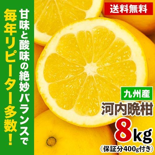 6/15まで！【特別セール☆2980円⇒2180円】訳あり 河内晩柑 8kg 九州産