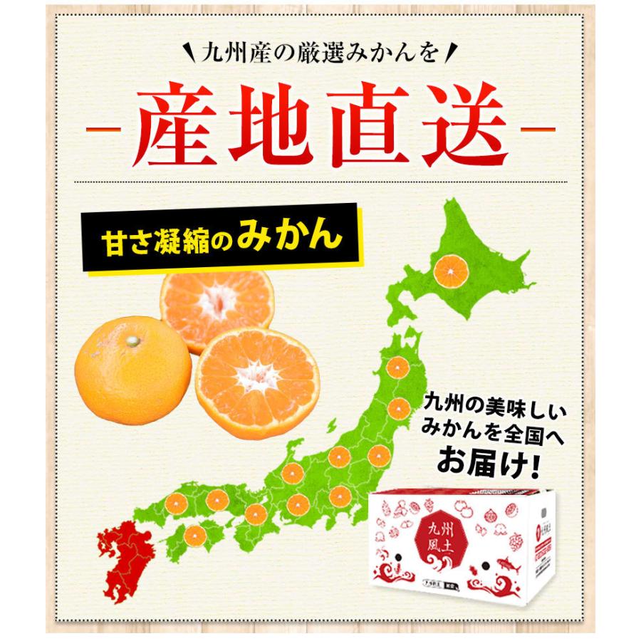 みかん 訳あり 送料無料 訳アリ 送料無 わけあり 九州みかん 柑橘 ミカン 果物 フルーツ 1セット1.5kg おまけ増量特典 7-14営業以内発送予定(土日祝除く)｜kyushufood｜11