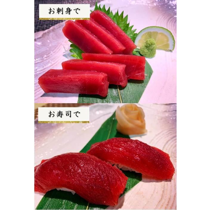 マグロ まぐろ ギフト 天然本マグロ赤身 サク 500g｜kyushumaguro｜06