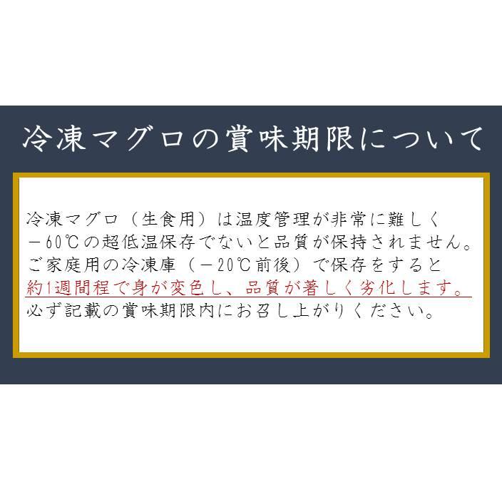 マグロ まぐろ ギフト 天然本マグロ赤身 サク 500g｜kyushumaguro｜08