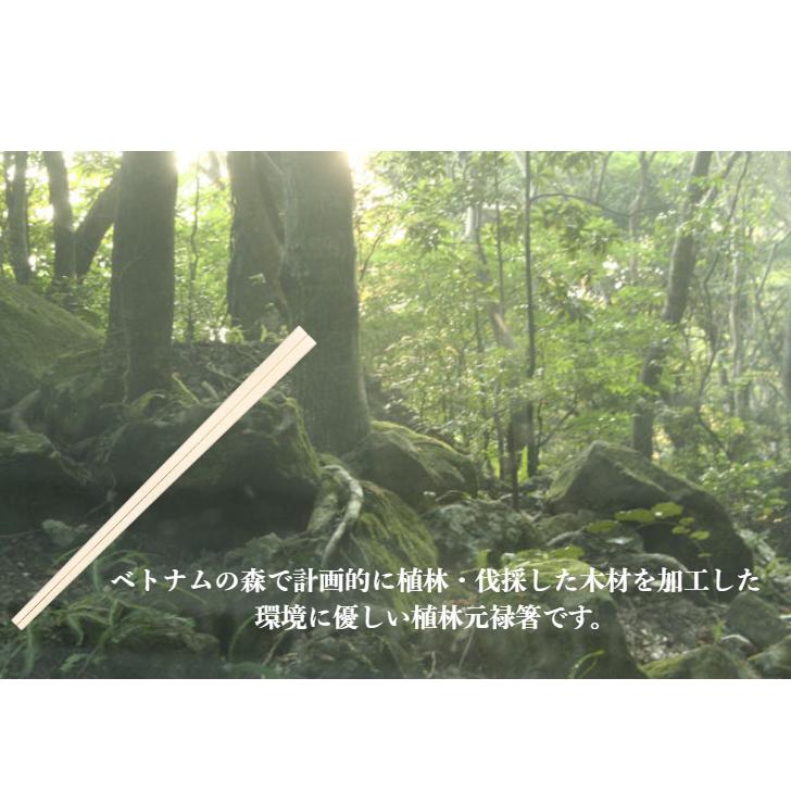 割り箸 100膳入り 九州紙工 ベトナム植林元禄箸 21cm 使い捨て 飲食店 大容量 VG-104 : 九州紙工 ヤフーショッピング店 ...