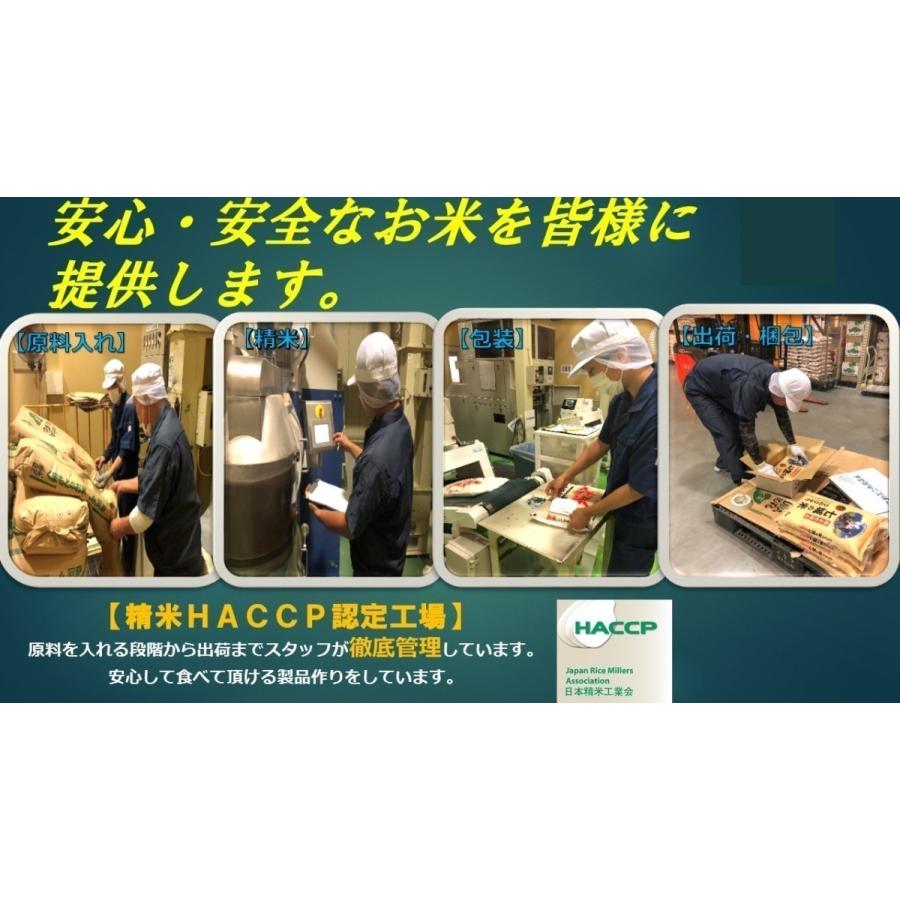 米　お米　１０ｋｇ　（５ｋｇ×２）　くまモン　森のくまさん　無洗米　熊本県産　令和５年産　送料無料　｜kyusyu-umakamon｜04