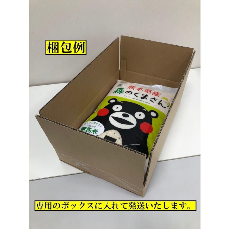 米　お米　１０ｋｇ　（５ｋｇ×２）　くまモン　森のくまさん　無洗米　熊本県産　令和５年産　送料無料　｜kyusyu-umakamon｜05