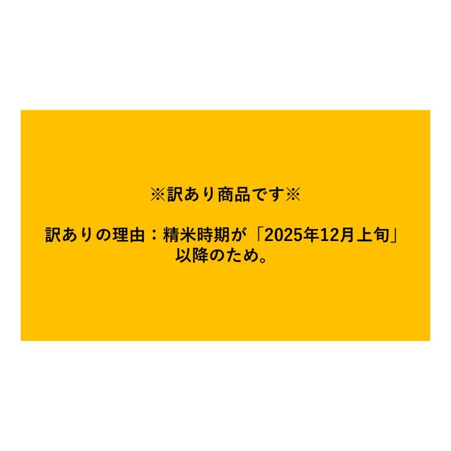 みどりさん10キロこ 発送2つ2つ 米 お米 10kg （5kg×2） 無洗米 いろどり四季 複数原料米