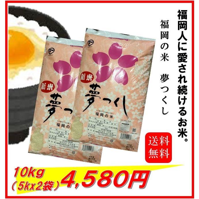 米 お米 10kg(5kg×2) 福岡県産 夢つくし ゆめつくし 米 お米 10kg(5kg×2) 福岡県産 夢つくし ゆめつくし