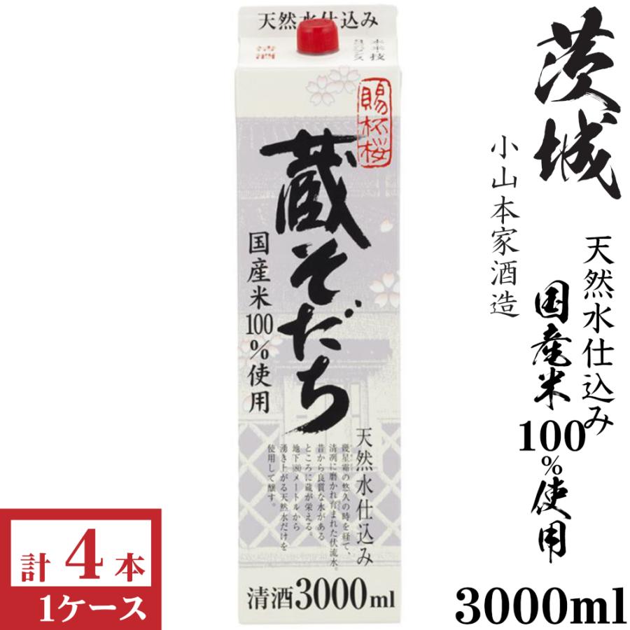 小山本家 蔵そだち3000mlパック4本入×1ケース（4本） : 九州酒問屋