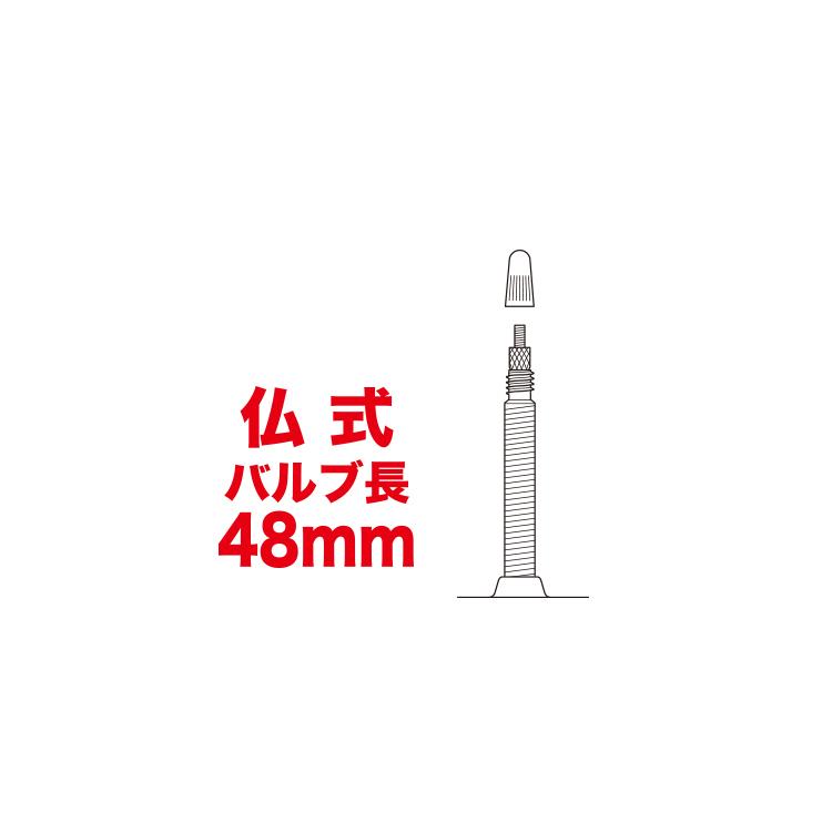 BRIDGESTONE（ブリヂストン） 700×25-32C 仏式 36mm ディスタンザ