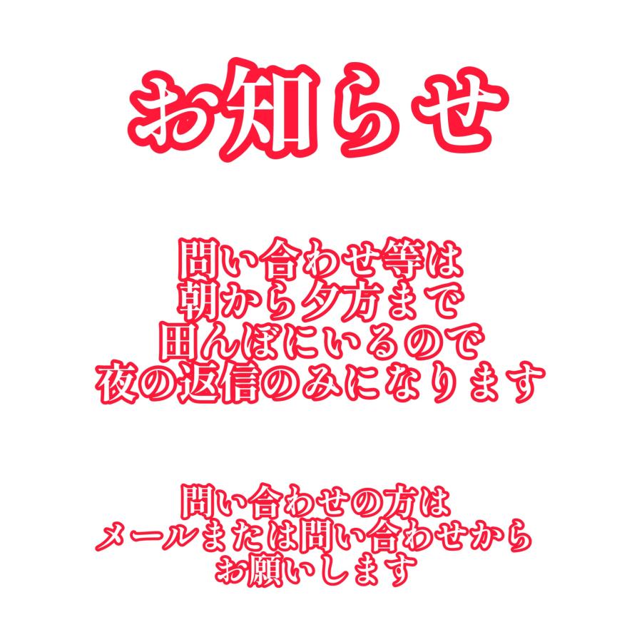 早期予約】【新米】無農薬玄米10kg10キロ 農家直送 福岡県産 ヒノヒカリ 令和６年新米 送料無料 玄米 白米 野菜｜kyusyuyasai-egami｜14