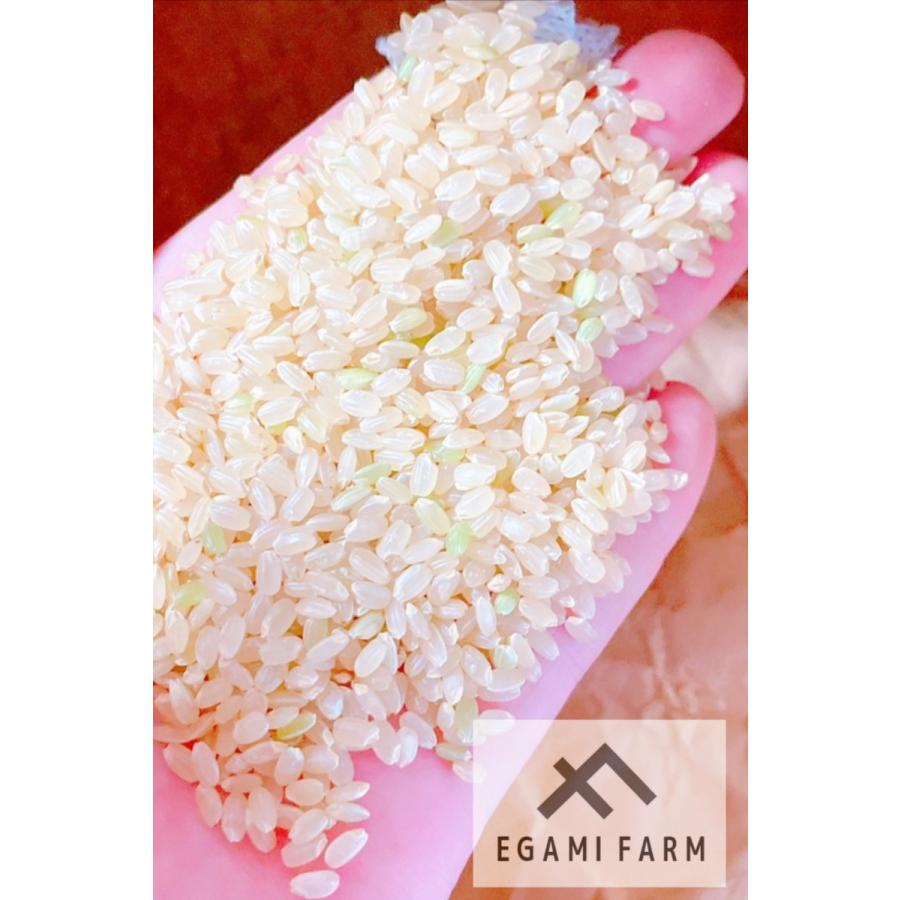 無農薬玄米20kg 20キロ 農家直送 福岡県産 ヒノヒカリ 令和５年新米