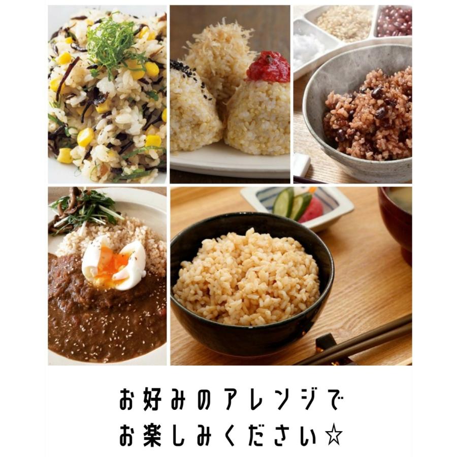 早期予約】【新米】無農薬玄米20kg 20キロ 農家直送 福岡県産 早期予約】【新米】無農薬玄米20kg 20キロ 農家直送 福岡県産