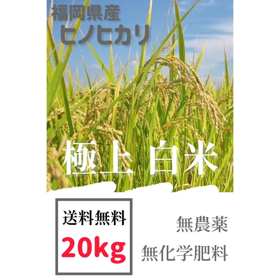 早期予約】【新米】無農薬玄米20kg 20キロ 農家直送 福岡県産 早期予約】【新米】無農薬玄米20kg 20キロ 農家直送 福岡県産