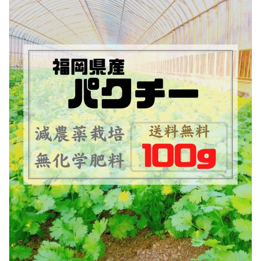 送料無料 パクチー 100g 100グラム 農家直送 福岡県産 コリアンダー 香草 野菜 野菜セット Pa0100 九州野菜 江上ファーム 通販 Yahoo ショッピング
