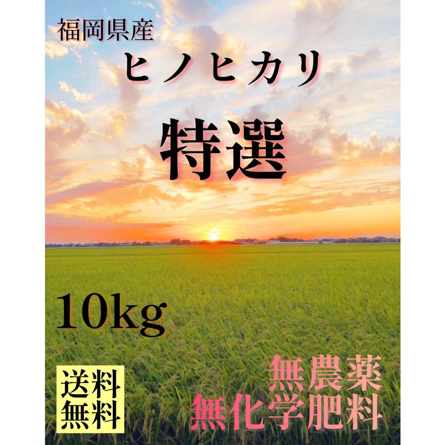 新米】特選 無農薬玄米 10キロ 10kg 福岡県産 ヒノヒカリ 令和7年産