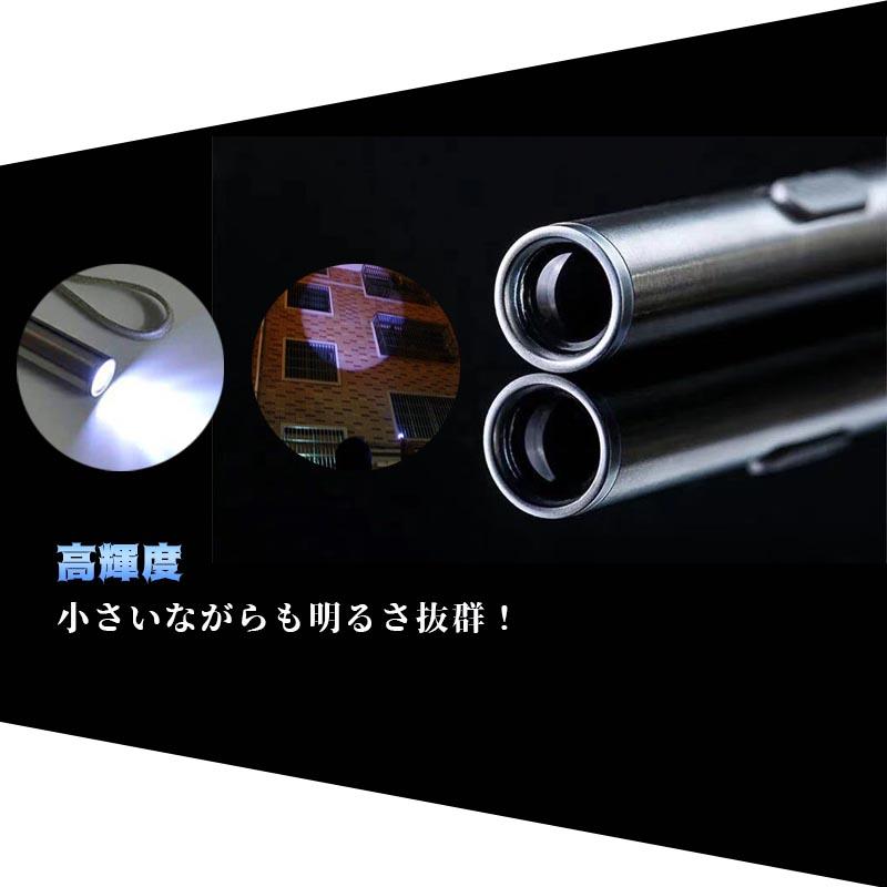 極眩 小型 ペン型 LED ライト コンパクト ステンレス 明るい USB