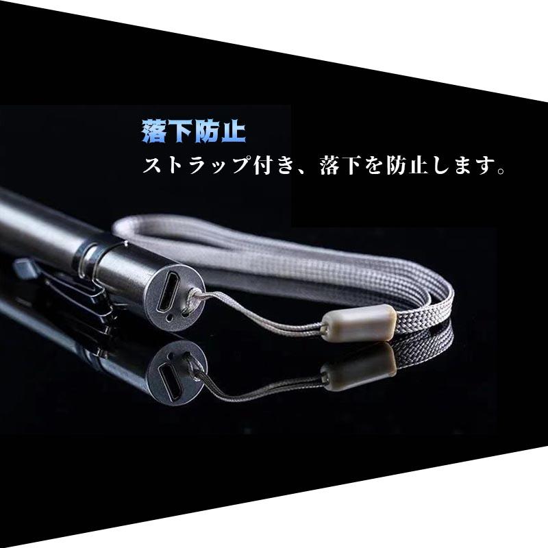 極眩 小型 ペン型 LED ライト コンパクト ステンレス 明るい USB
