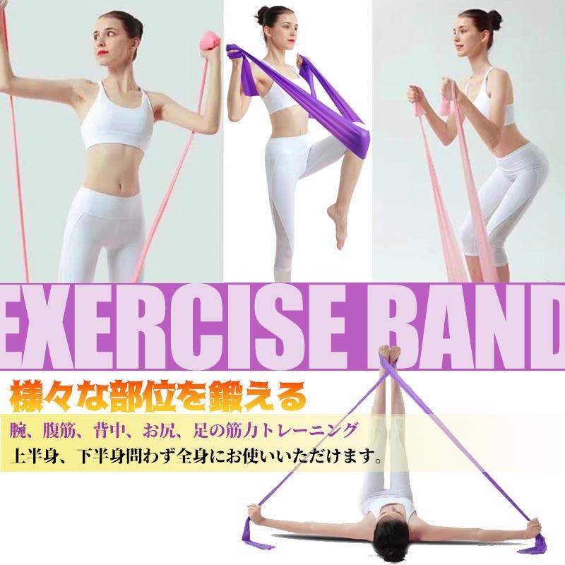 トレーニングチューブ エクササイズバンド 筋トレ 最強 ロング ゴム 全
