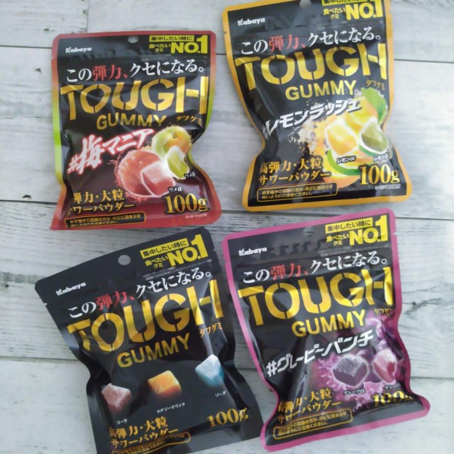 Kabaya カバヤ タフグミ 100g×四種セット メール便送料無料