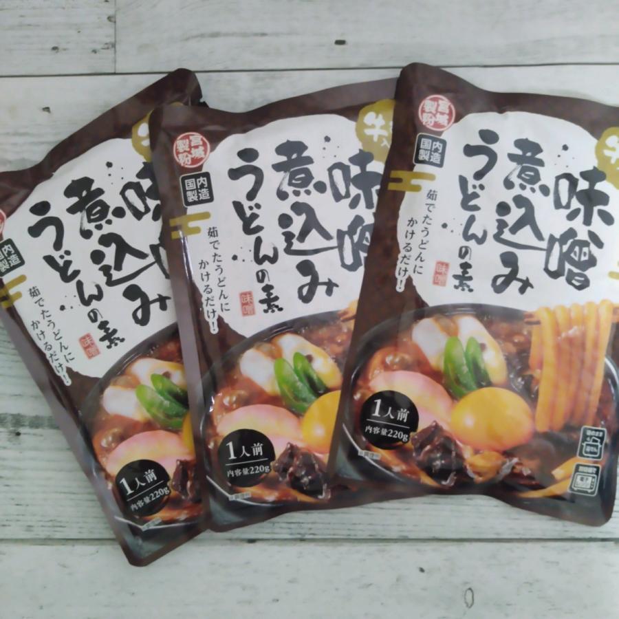 味噌煮込みうどんの素 220g×3袋 メール便送料無料 ポイント消化 600