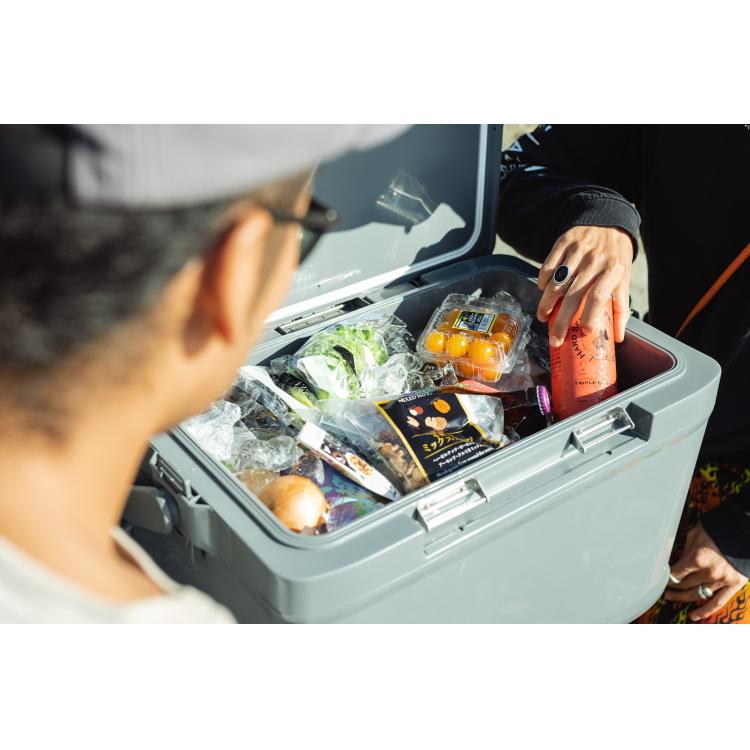 【新品】シマノ クーラーボックス ICEBOX VL 22L NX-422V シマノ icebox vl 22」の人気商品一覧 | 安い商品を通販サイトから探す