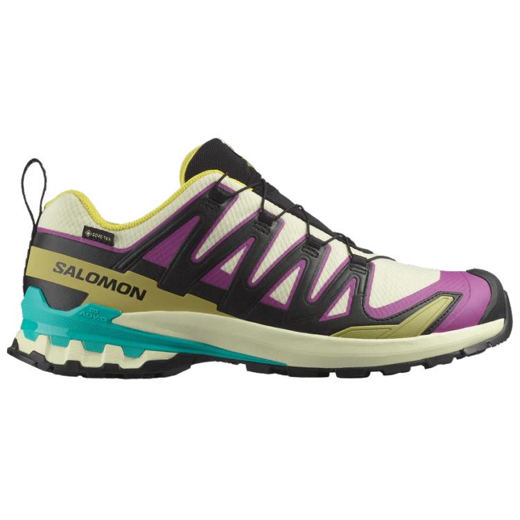 SALOMON（サロモン） XA PRO 3D GTX ゴアテックス トレイルランニング