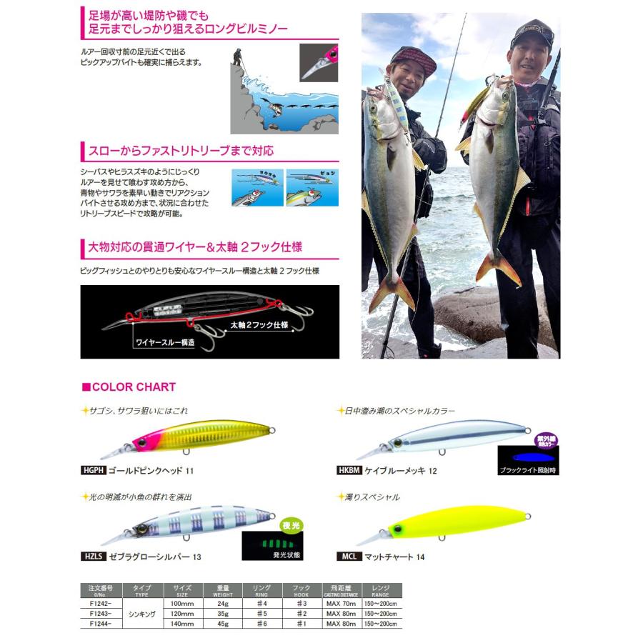 HARDCORE DUEL ハードコア バレットファスト S 100 24g デュエル