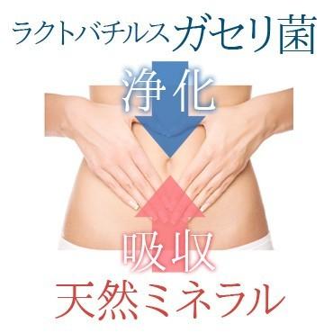 ミネラ 2000ml   minera 天然ミネラル100％ 乳酸菌 酵素ダイエット ウォーターの画像