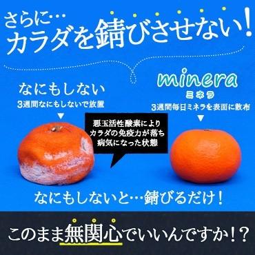 ミネラ 2000ml   minera 天然ミネラル100％ 乳酸菌 酵素ダイエット ウォーターの画像