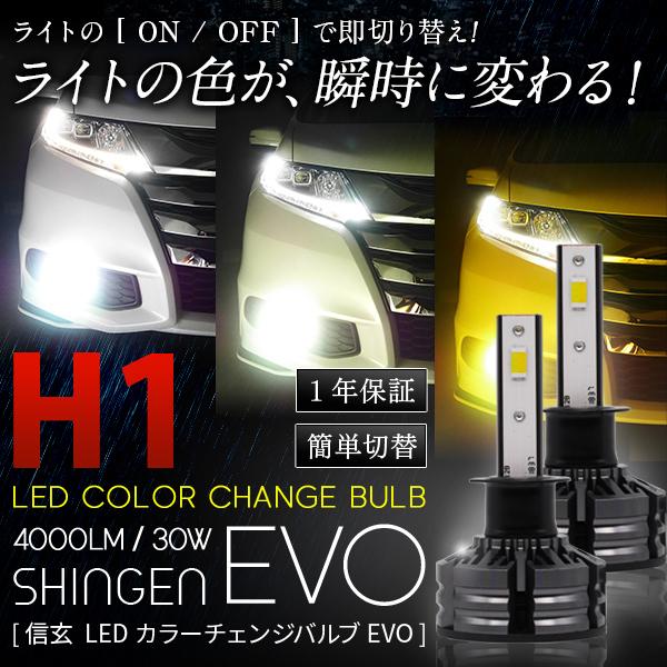 信玄 今月30%OFFcp 2ライトの色が瞬時に変化！グロリア