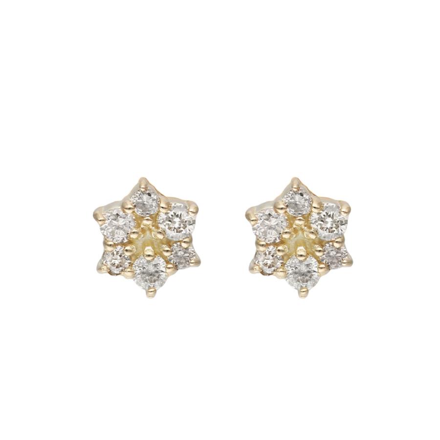 レディース ネックレス ピアス K10 10金 イエローゴールド ダイヤモンド 0.04ct 合計0.08ct プレゼント L&Co. エルアンドコーの画像