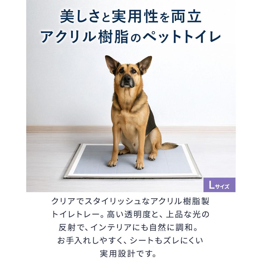 レキュラー Sサイズ アクリル製　犬　トイレ　トイレトレー　新品未使用 1年保証 犬 トイレトレー アクリル製 Sサイズ 48cm×36cm