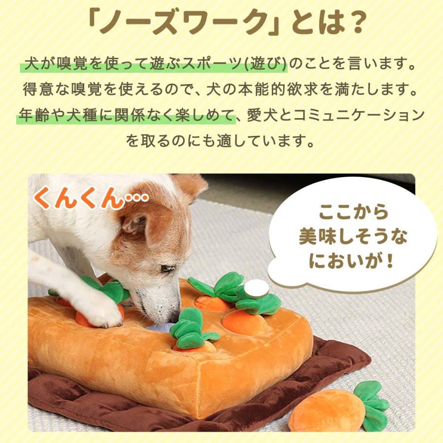 ペット おもちゃ 犬 猫 ノーズワーク にんじん畑 ぬいぐるみ クッション 38 33cm ペットおもちゃ 嗅覚訓練 運動不足 ストレス解消 しつけ 噛み癖 送料無料 Ys A L Design 通販 Yahoo ショッピング