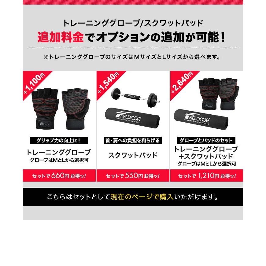 バーベルプレート 楽天市場】【日本総代理店】ALEX社製 BPB ペイントプレート