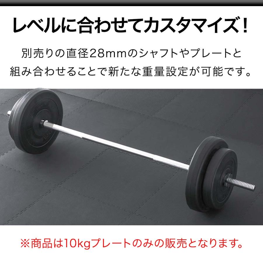 1年保証 バーベル 用 プレート 10kg 2個セット ポリエチレン 1年保証 バーベル 用 プレート 10kg 2個セット ポリエチレン