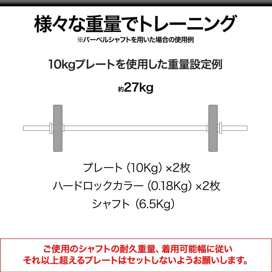 1年保証 バーベル 用 プレート 10kg 2個セット ポリエチレン 1年保証 バーベル 用 プレート 10kg 2個セット ポリエチレン