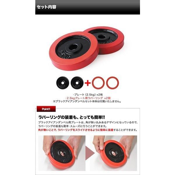 1年保証 ダンベル バーベル 用 プレート 2.5kg 2個セット