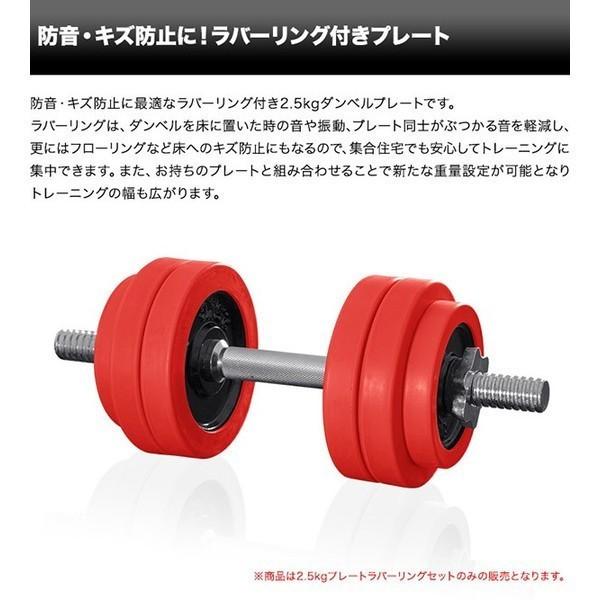 1年保証 ダンベル バーベル 用 プレート 2.5kg 2個セット