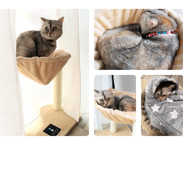 1年保証 キャットツリー 猫タワー 据え置き 爪とぎ ハンモック 付き 高さ46cm 幅49cm 小型 子猫 シニア 猫 ペット KITTEN 組立 設置 簡単 おしゃれ 送料無料 |  | 09