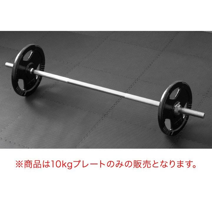 1年保証 バーベル 用 プレート 穴あき 10kg 2個セット 追加 ダンベルプレート ダンベル ウェイト 筋トレ ウエイト トレーニング 重り 交換 パーツ 送料無料｜l-design｜04