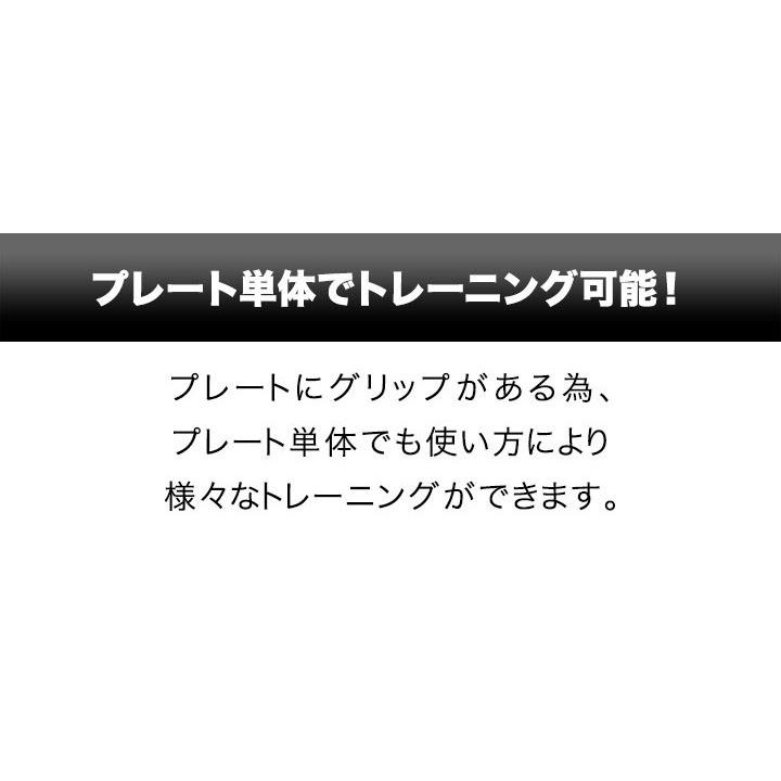 1年保証 バーベル 用 プレート 穴あき 10kg 2個セット 追加 ダンベルプレート ダンベル ウェイト 筋トレ ウエイト トレーニング 重り 交換 パーツ 送料無料｜l-design｜06