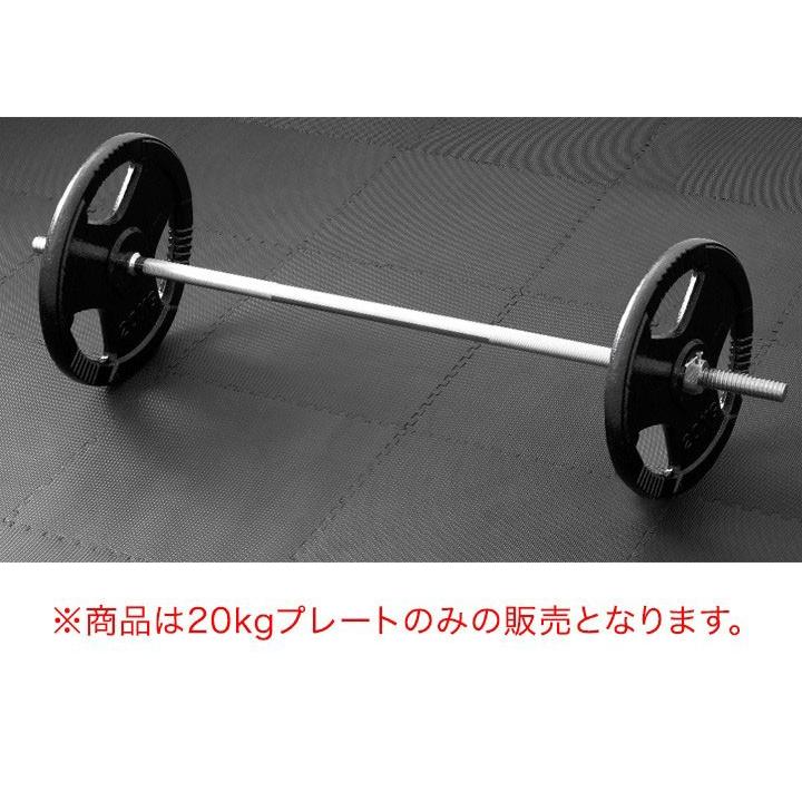 バーベル 用 プレート 穴あき 20kg 2個セット 追加 ダンベルプレート ダンベル ウェイト 筋トレ ウエイト トレーニング 重り 交換 パーツ  FIELDOOR 送料無料 :ys-a15200:L-DESIGN - 通販 - Yahoo!ショッピング