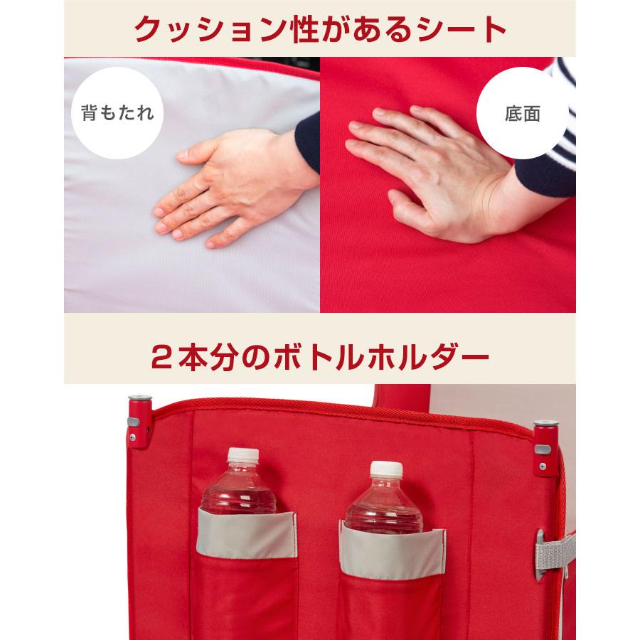 RADIO FLYER ラジオフライヤー　屋根付き新品同様　室内保管　野外未使用 RADIO FLYER ラジオフライヤー 屋根付き新品同様 室内保管 野外未使用