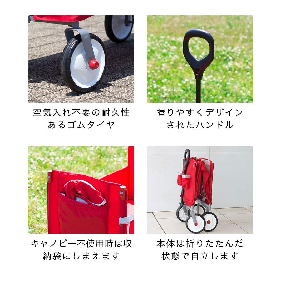 ラジオフライヤーATW   キャノピー(帆)付き ラジオフライヤーATW キャノピー(帆)付き ラジオフライヤーATW