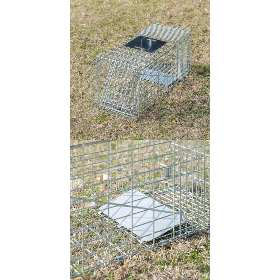 小動物　捕獲機　アニマルトラップ 1年保証 動物捕獲器 アニマルトラップ Mサイズ 25x66x26cm 小動物 猫用