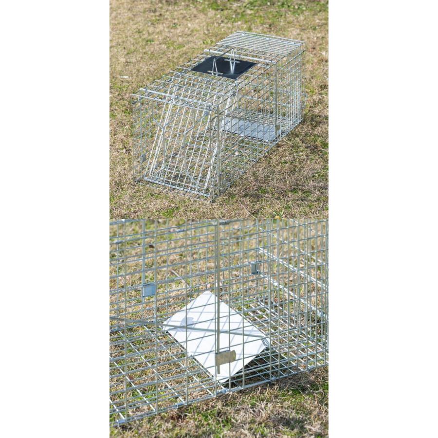 1年保証 動物捕獲器 アニマルトラップ Lサイズ 30x79x33cm 小動物 踏板
