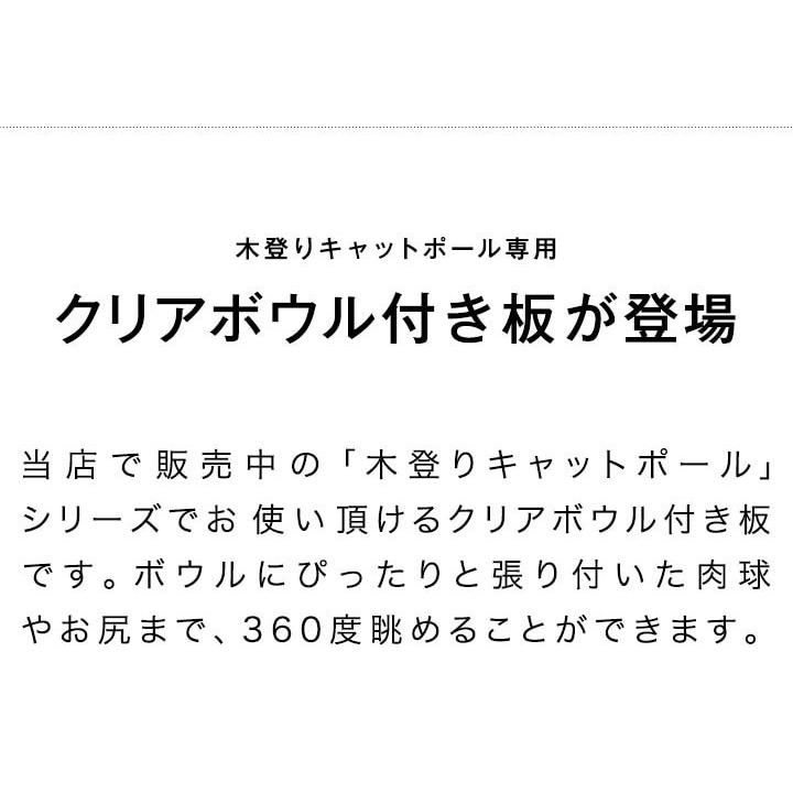 1年保証 キャットツリー用 木登りキャットポール用 接続用渡り板 幅75cm クリアボウルタイプペット用品 猫用品 キャットツリー用部品 送料無料 |  | 02
