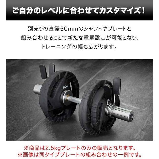 1年保証 ダンベルプレート 穴あき 2.5kg 2枚セット 穴径50mm 追加 バーベル用 プレート バーベルプレート ダンベル 筋トレ ホームジム  トレーニング 送料無料